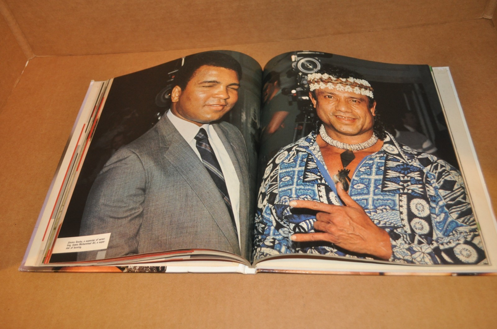 USED / DAMAGED / VINTAGE 1985 WRESTLING HEROES & VILLAINS Hardcover Hulk Hogan