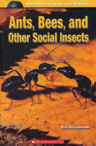 Ants, Bees, and Other Social Insects – Paperback By Kris Hirschmann – VERY GOOD