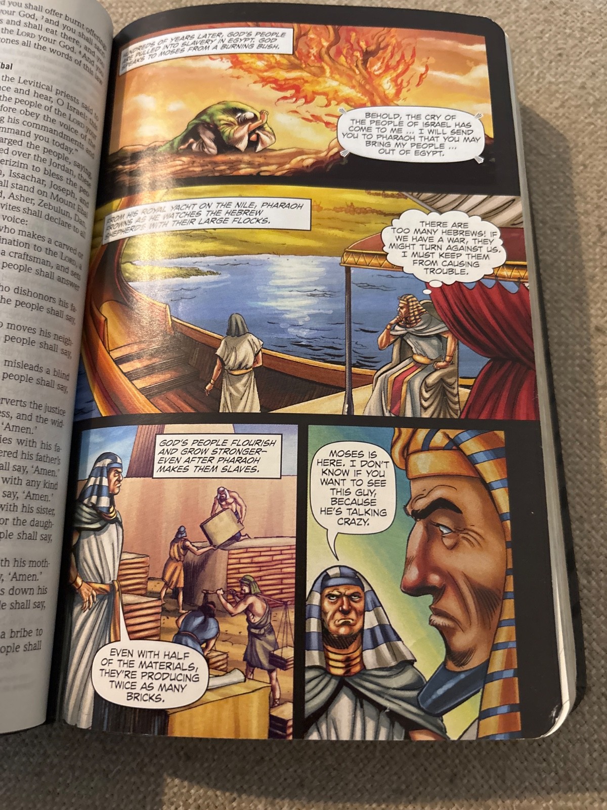 The Action Bible Study Bible ESV David C Cook Imitation Leather G…