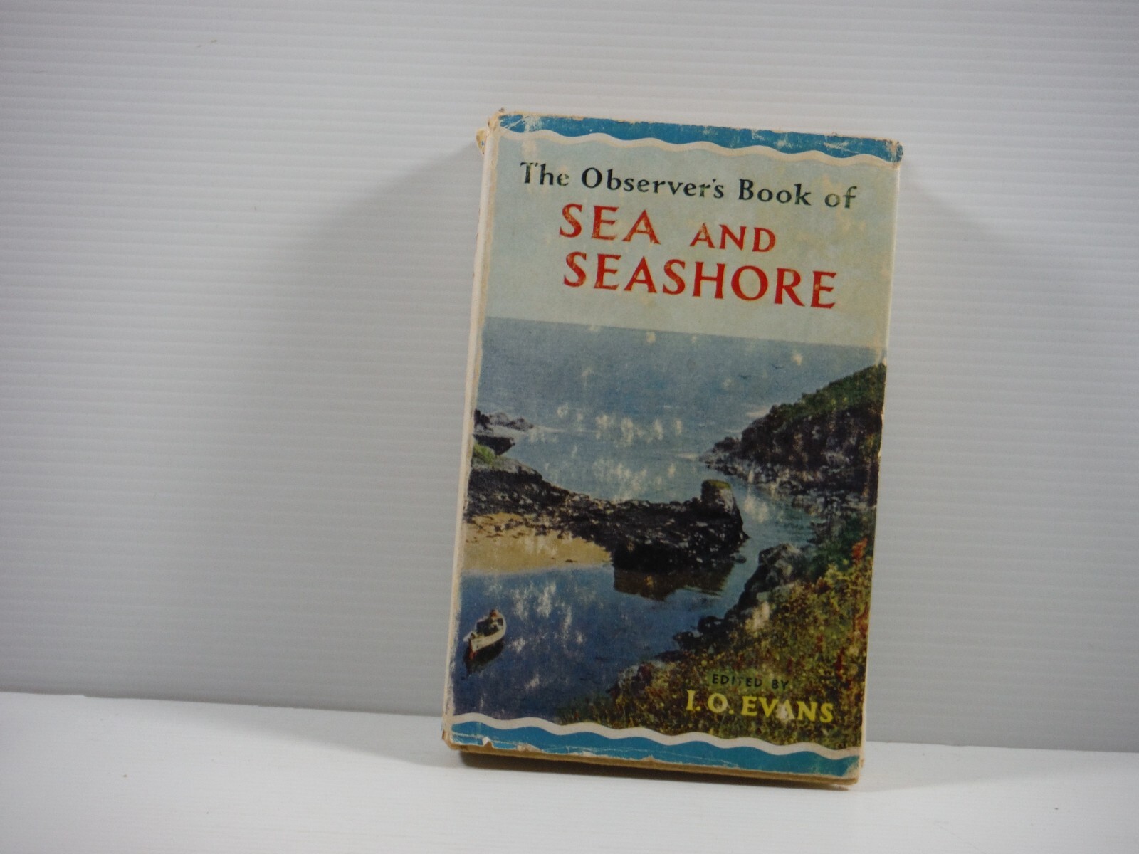 The Observer’s Book of Sea and Seashore hardcover by I O Evans 1962 vintage DJ