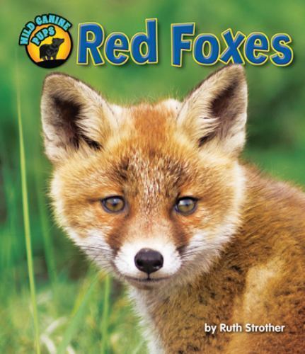 Red Foxes by Strother, Ruth