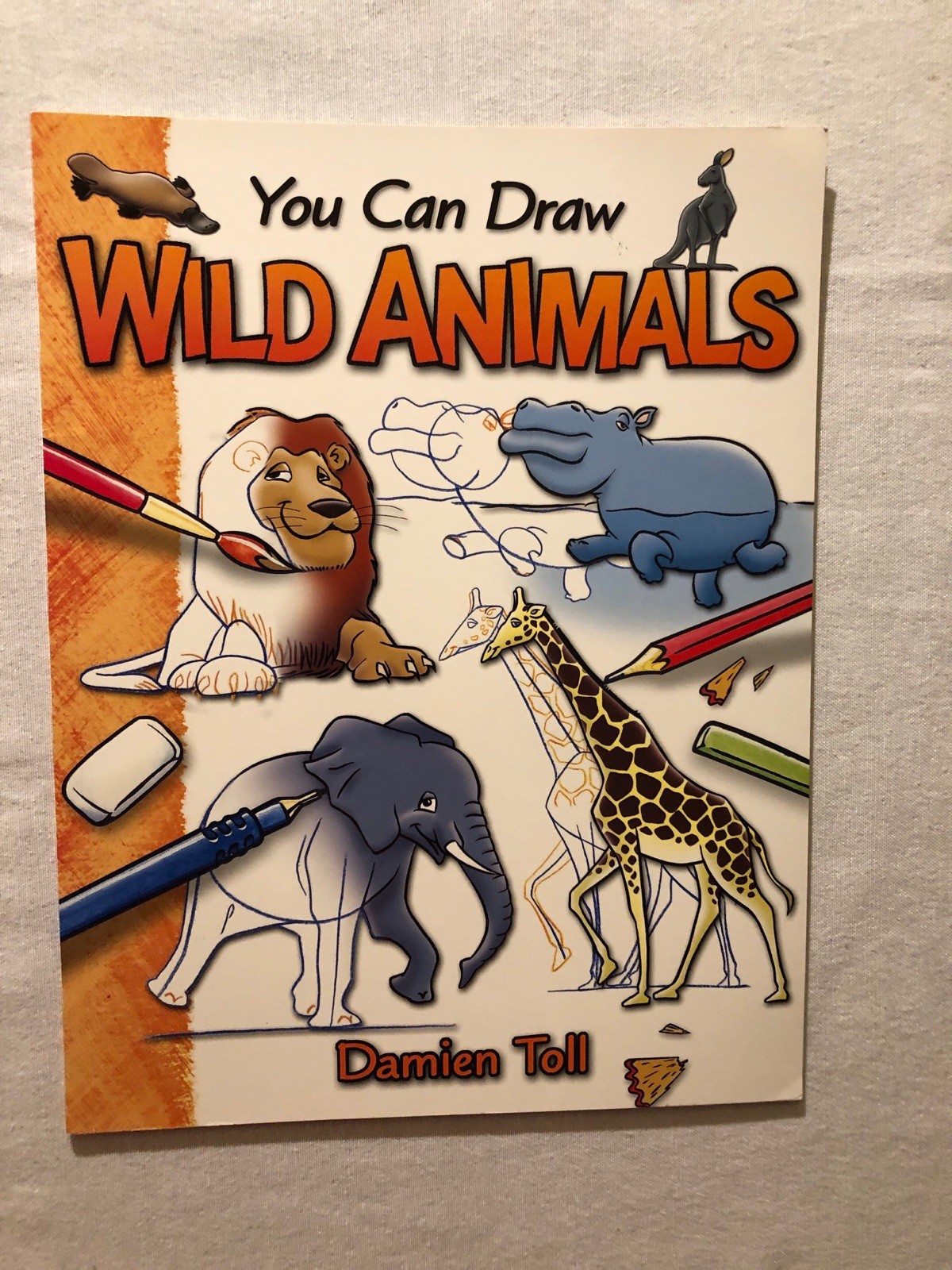 Damien Toll You Can Draw Lot: Cars/Cartoon Characters/Farm Animals/Wild Animals