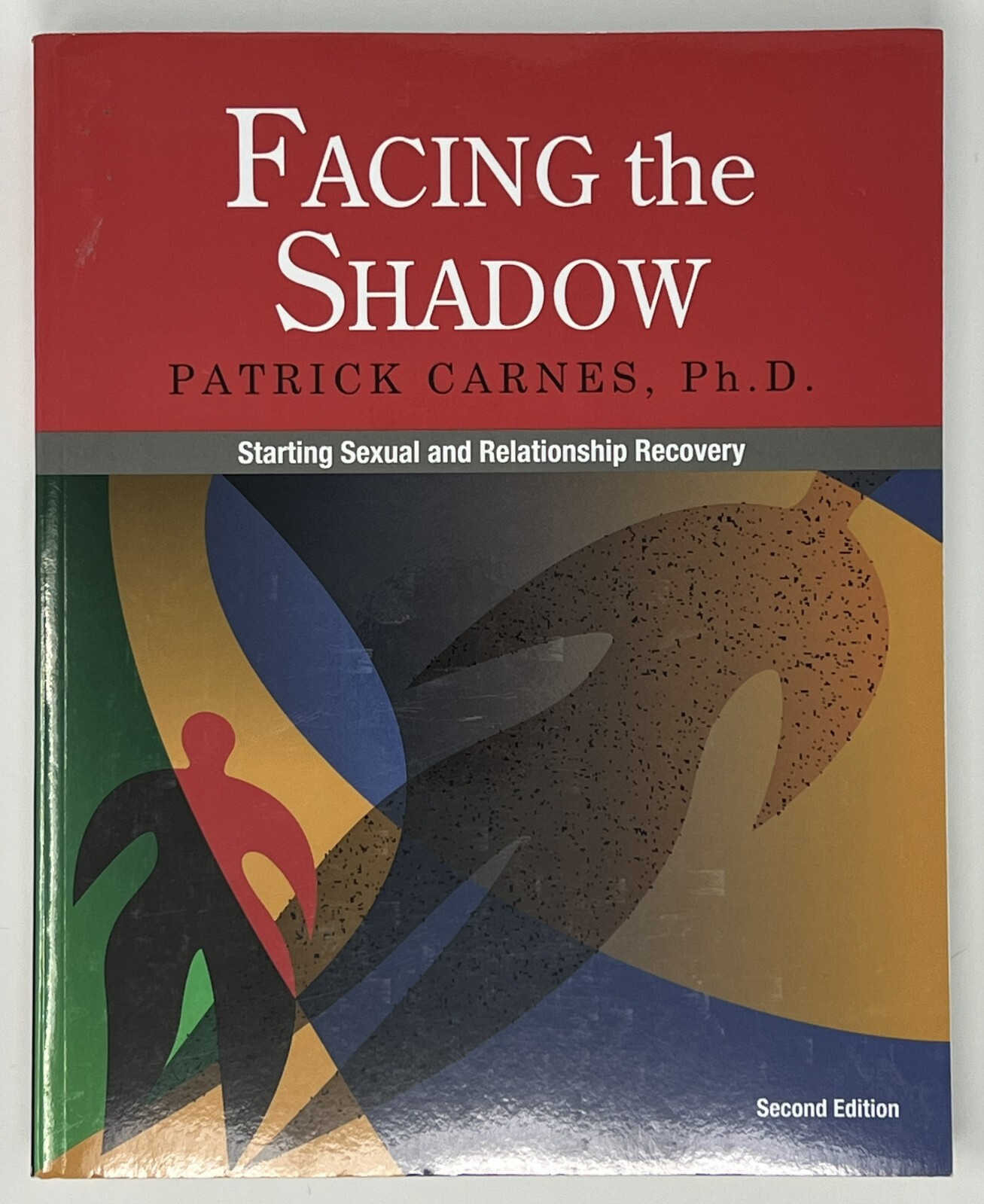 SELF HELP/RECOVERY: Facing The Shadow: 2nd Ed. by Patrick J. Carnes – 2010 PB