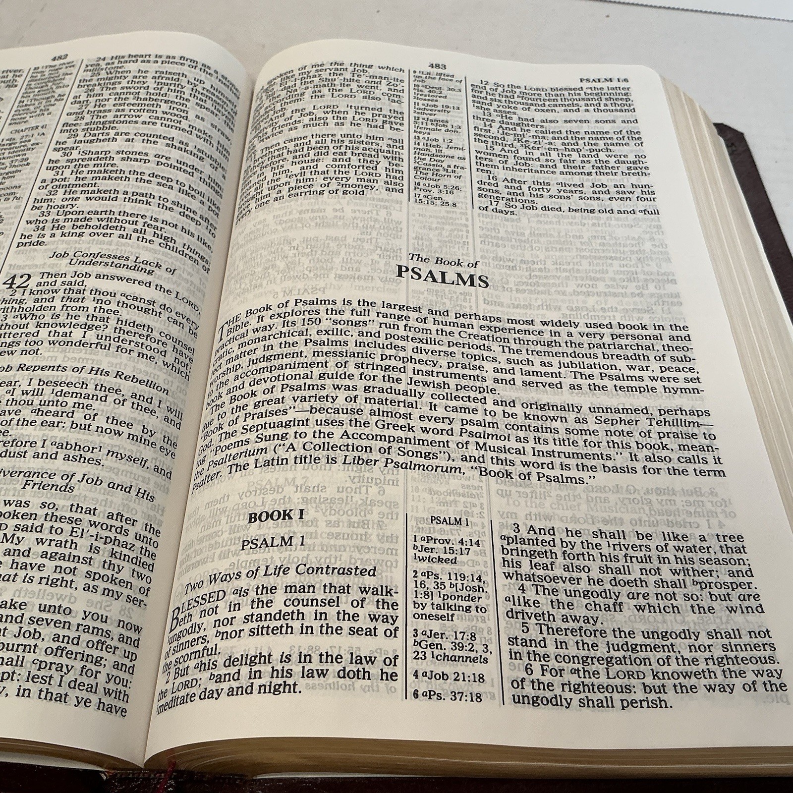 New Strong’s Reference Bible King James Version KJV BONDED LEATHER Nelson 1745EG