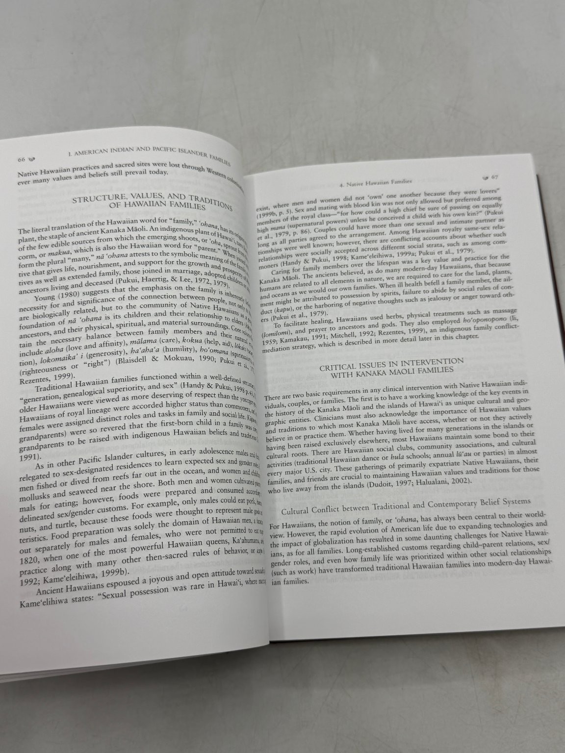 Ethnicity & Family Therapy McGoldrick 2005 Third Edition Guilford Press