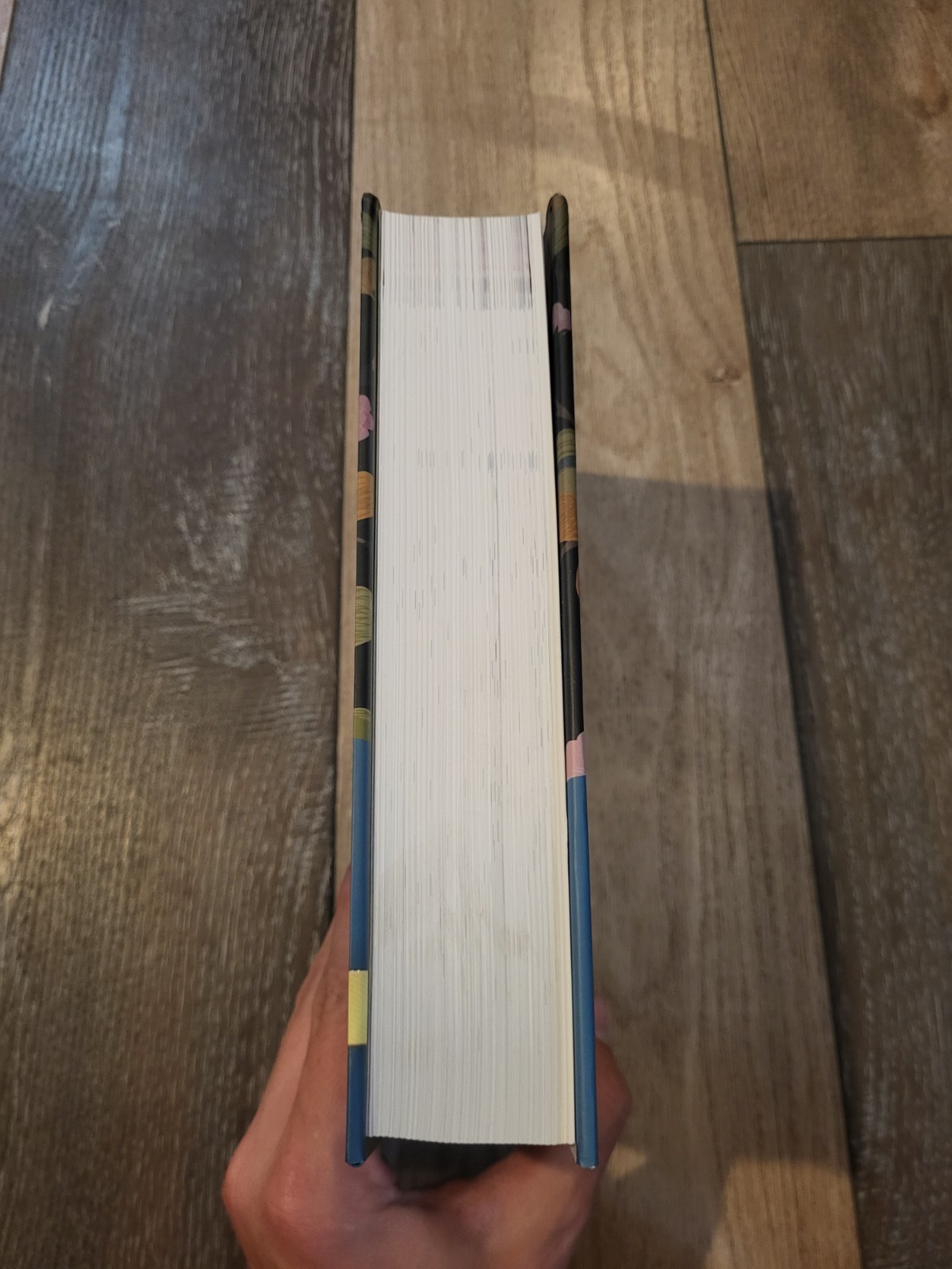 NIV The Woman’s Study Bible by Thomas Nelson (2018, Hardcover) Christianity