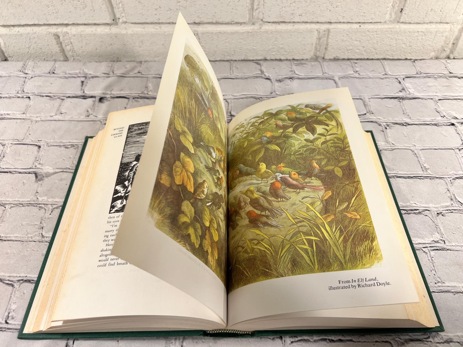 Beyond The Looking Glass Extraordinary Works of Fairy Tale & Fantasy [1st Print
