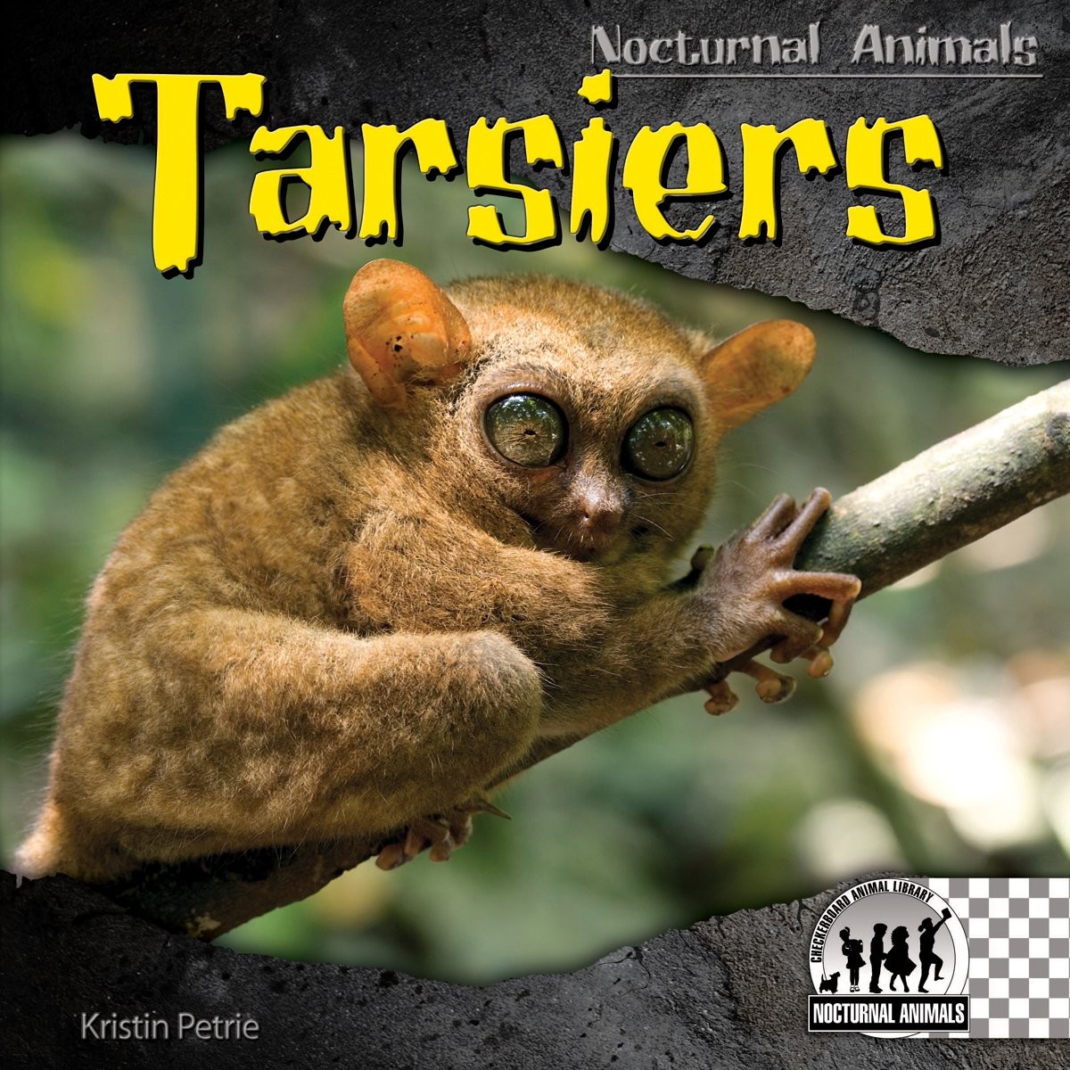 Tarsiers (Nocturnal Animals)