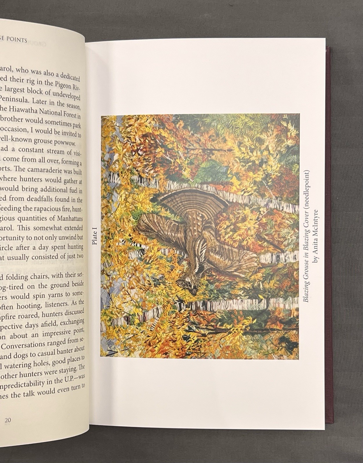 Grouse Points – First Edition 2021 – Ken McIntyre – Bird Hunting Dogs Pointer