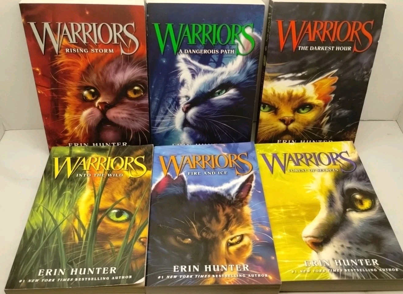 Warriors Set: Books 1 To 6 : The Complete First Series by Erin Hunter Paperback