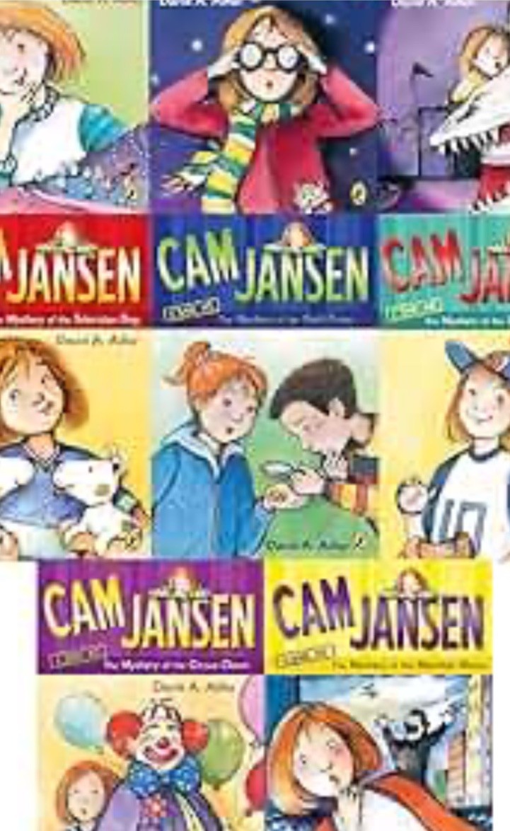 10 CAM JANSEN Children’s Mystery Chapter Books lot age 6-9 David A Adler