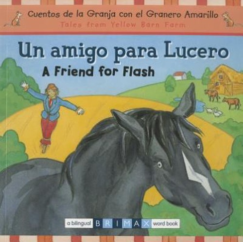 Un Amigo para Lucero/A Friend for Flash Paperback Gill Davies