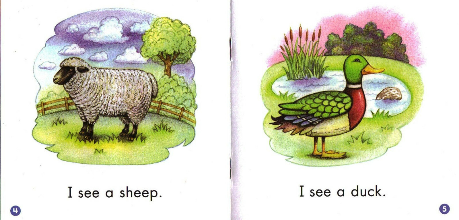 Sight Word Readers Learning to Read Childrens Books Kindergarten Lot 25 pre K