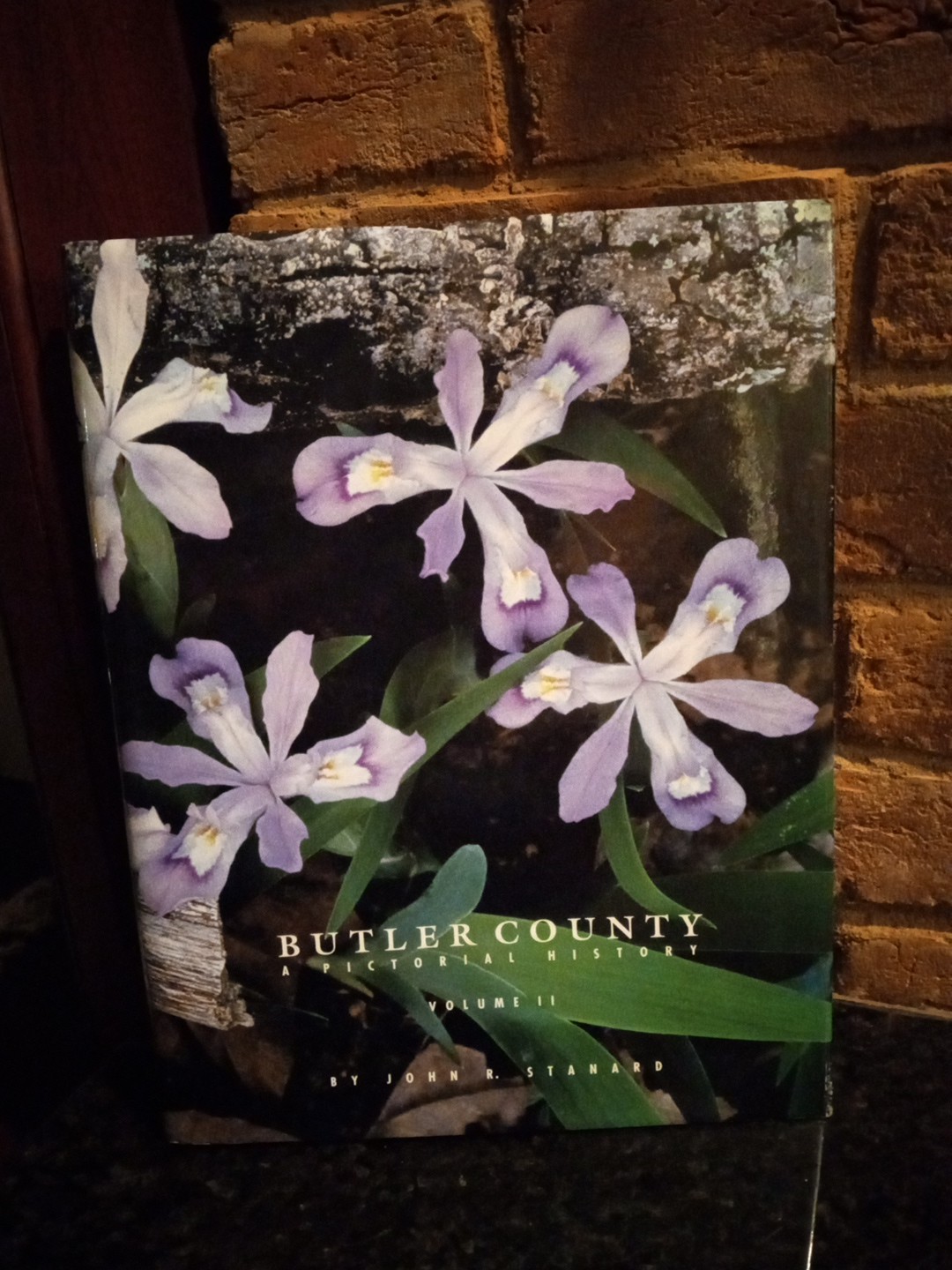 SE Missouri- Butler County: A Pictorial History Volume II by Stanard HC DJ 1994