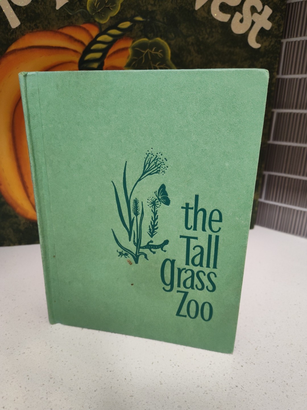 The Tall Grass Zoo, Winifred and Cecil Lubell, 1961 (Vintage Children’s Book)