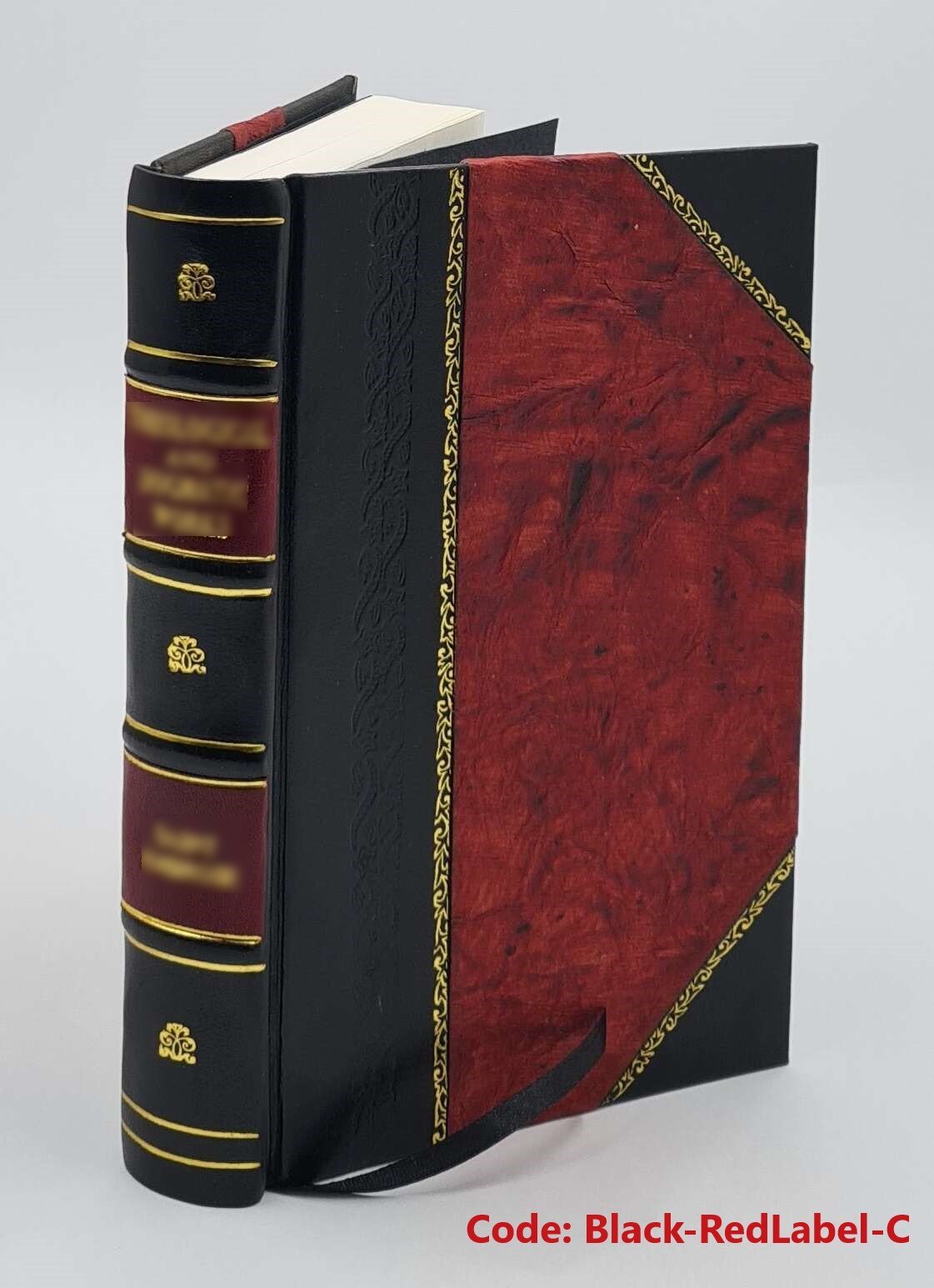 Der Gerichtsstand der Vereinbarung in historischer und dogmatisc [Leather Bound]