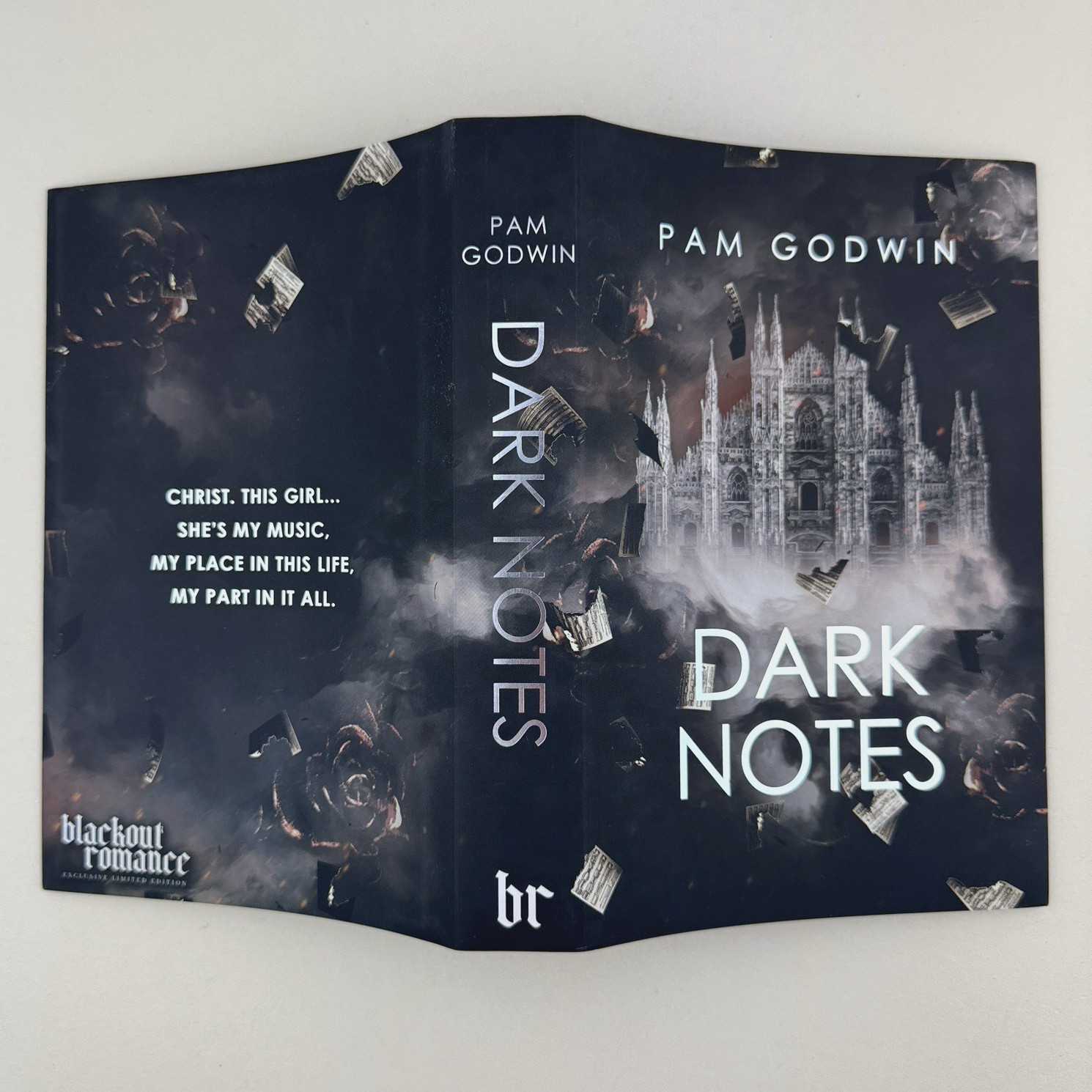 Pam Godwin Dark Notes Blackout Romance NSFW Special Edition Hardcover New