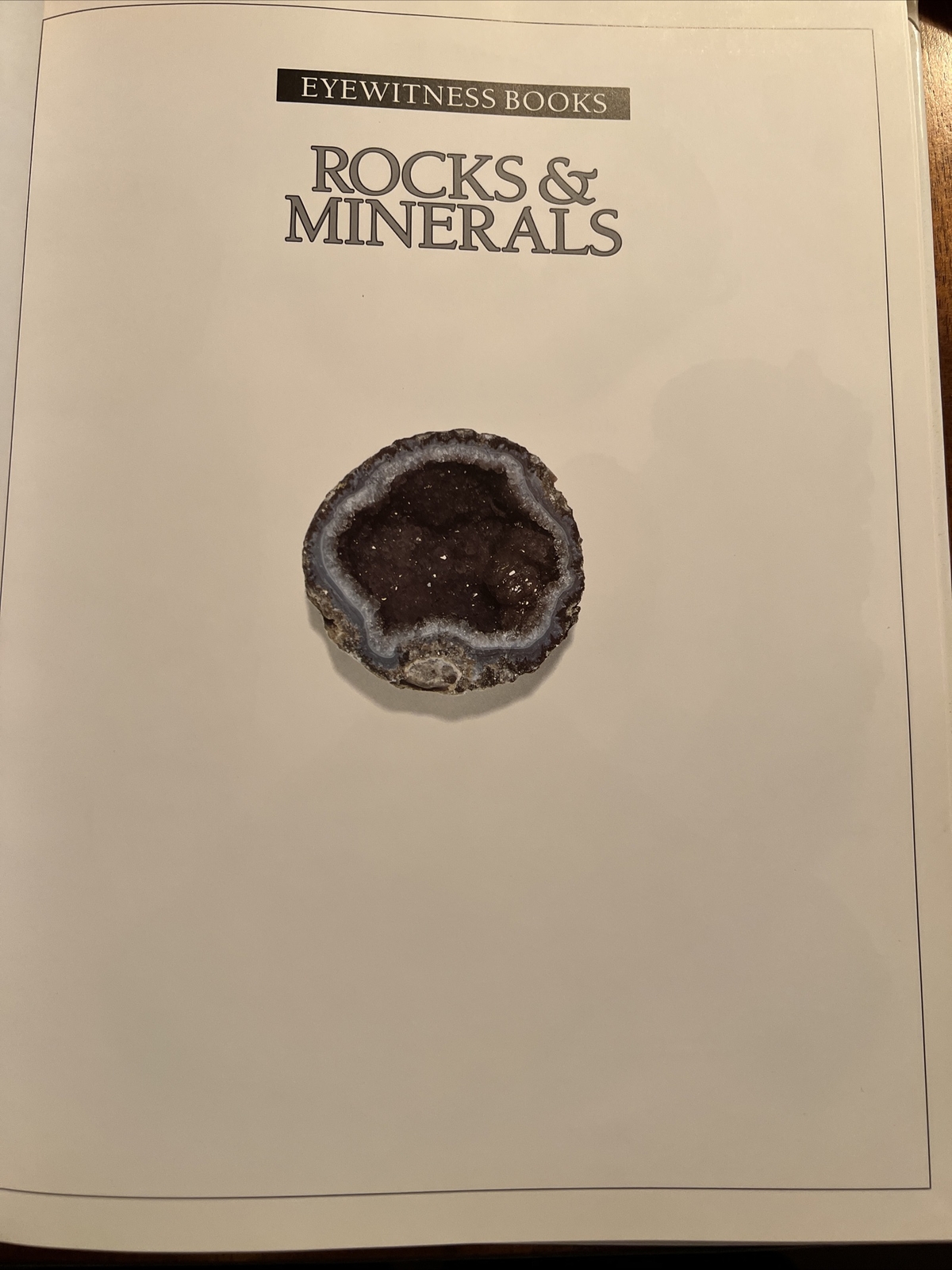 Rocks & Minerals – Eyewitness Books – Dorling Kindersley – Hardcover