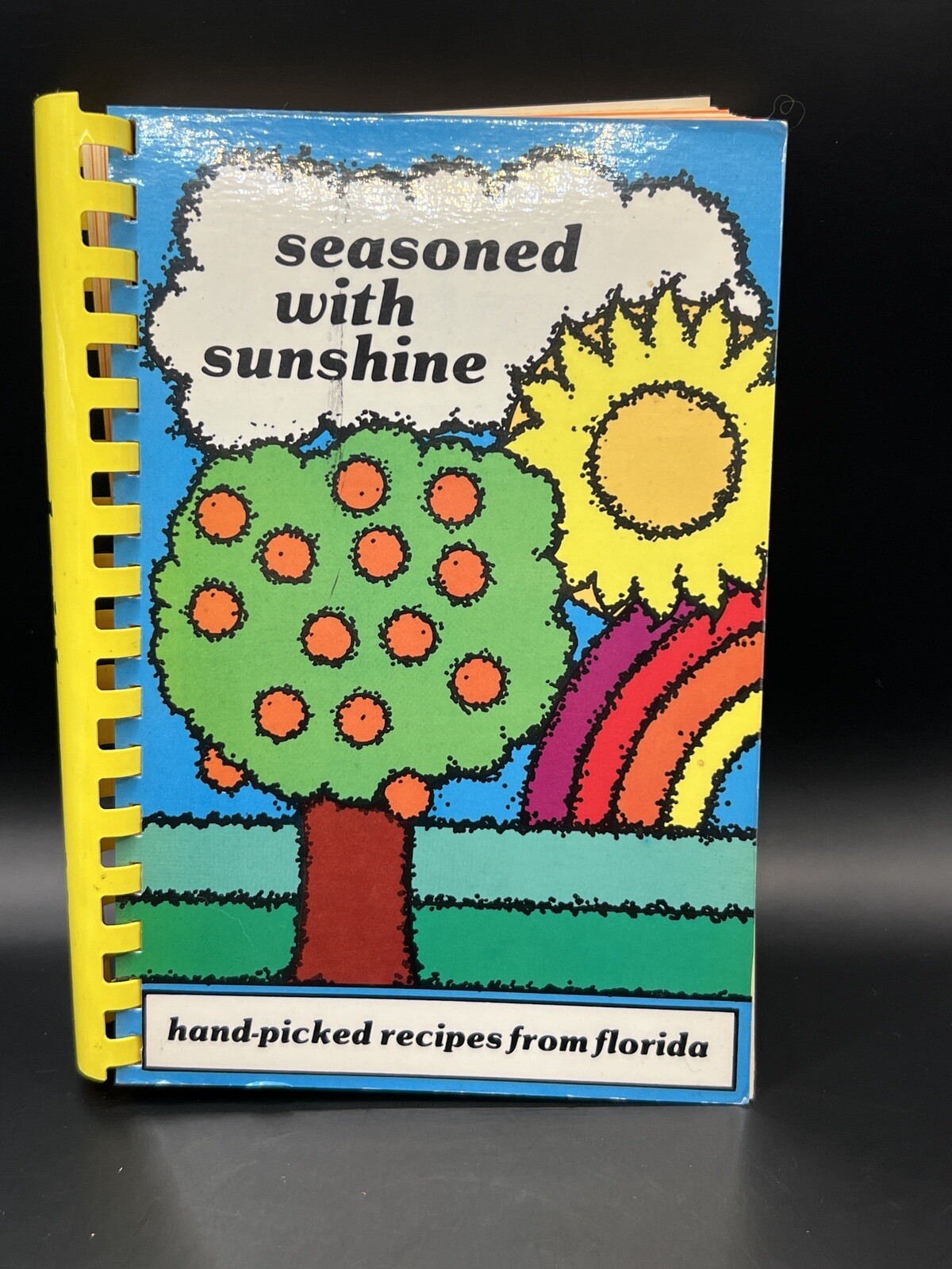 SEASONED AND SUNSHINE HANDPICKED RECIPES COOKBOOK FROM FLORIDA 346 PAGES