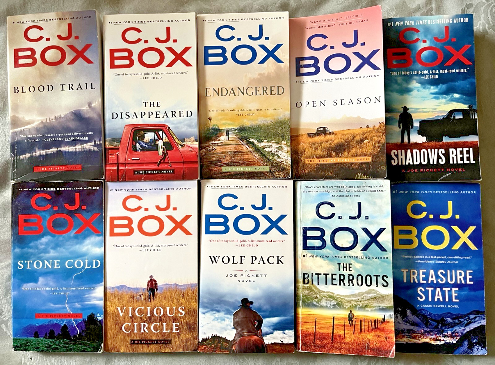 Lot of 10 CJ Box Novels * 8 Joe Pickett, 2 Cassie Dewell * PB