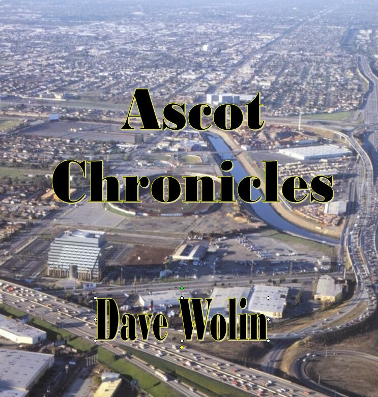 Ascot Chronicles by Dave Wolin – The People; Insider Stories; Free Shipping
