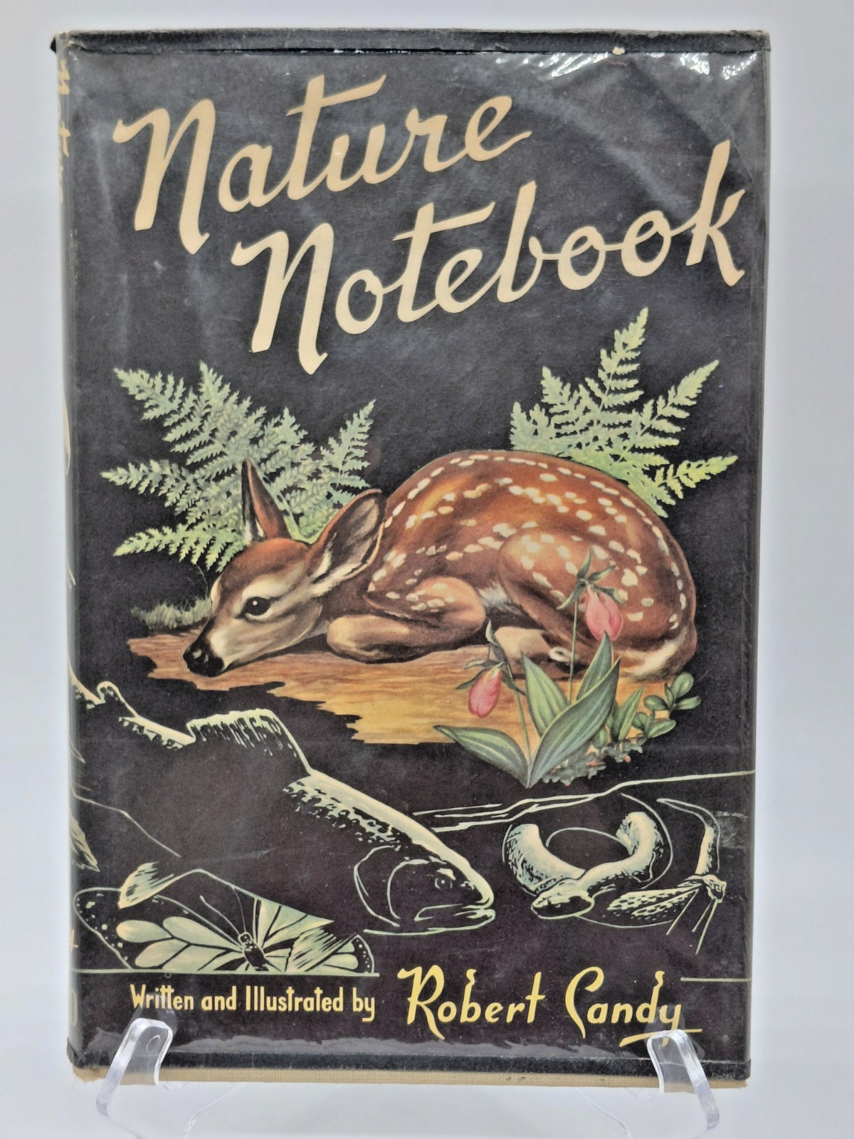 Nature Notebook Robert Candy 1953 first edition HC DJ RARE vintage book
