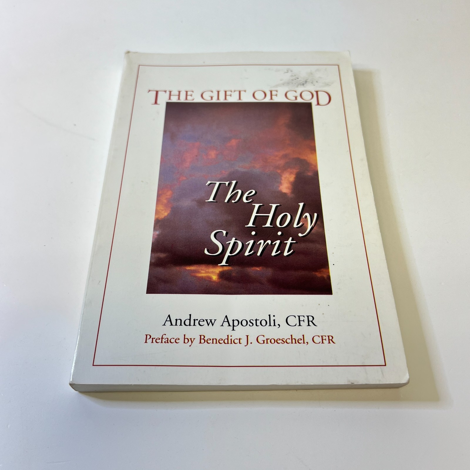 The Gift of God : The Holy Spirit Paperback Andrew Apostoli