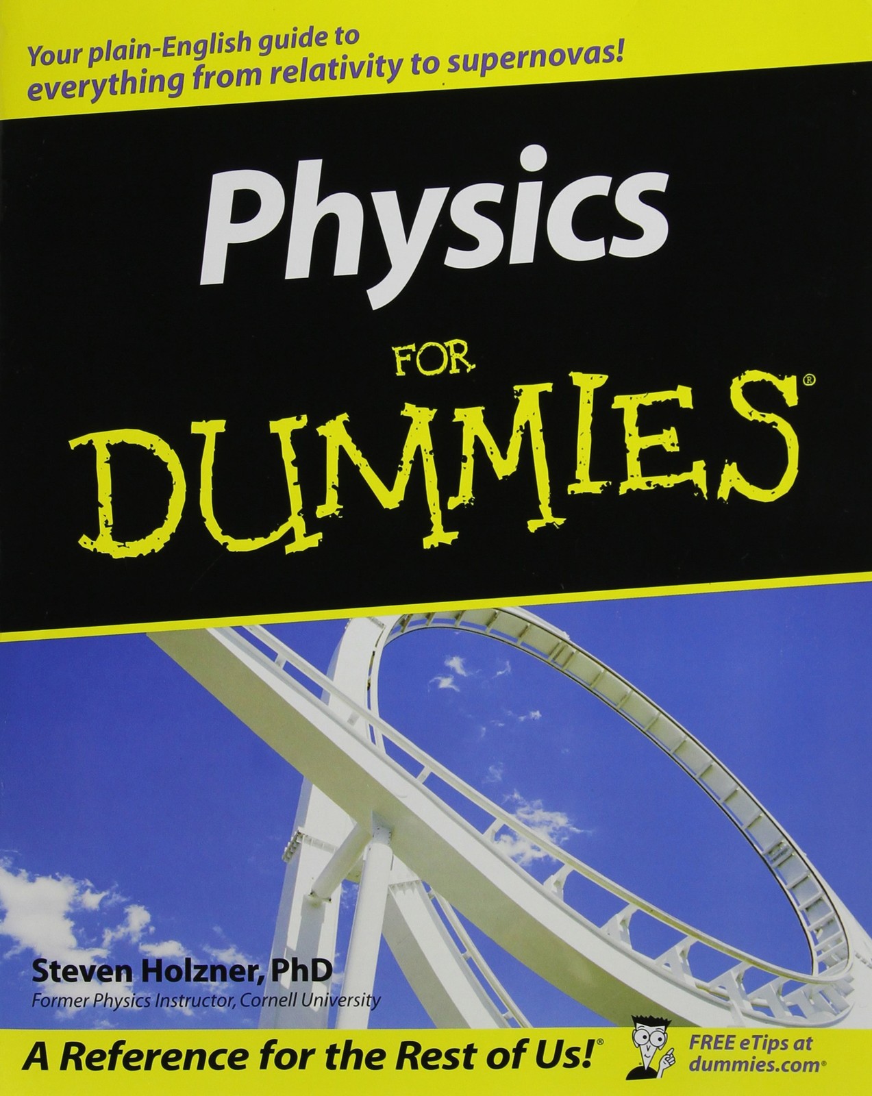 Physics For Dummies – paperback Steve Holzner