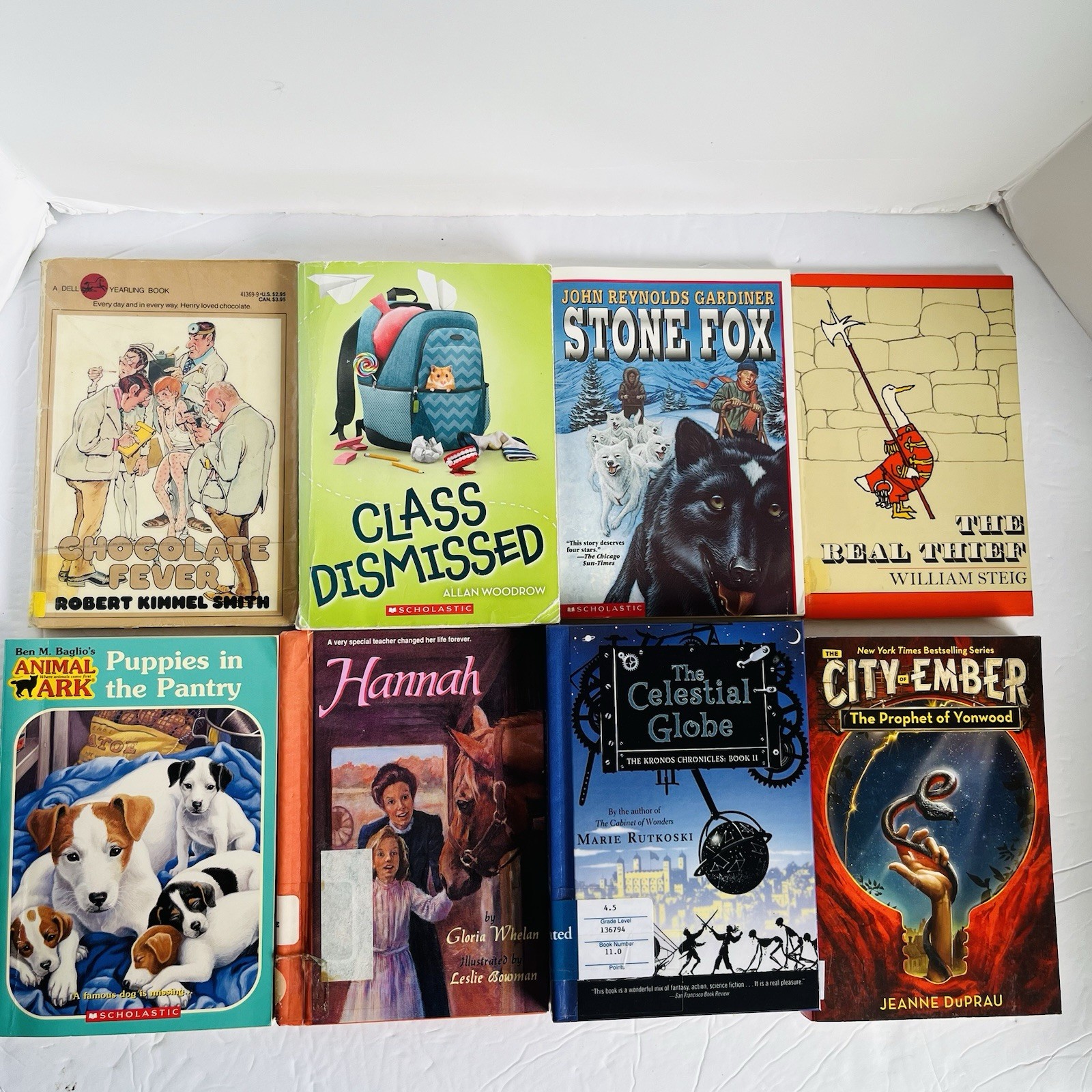 Lot of 10 Random 4th grade Children’s Kids Chapter Book Some series Elementary