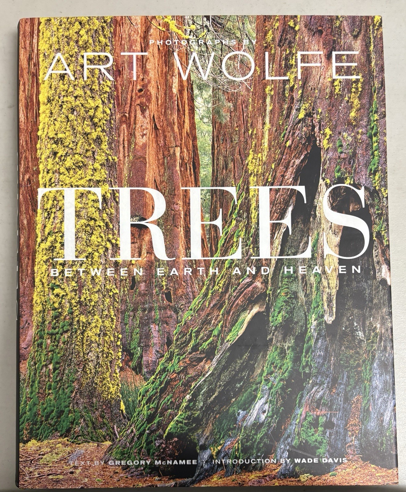 Trees – by Gregory McNamee (Hardcover)