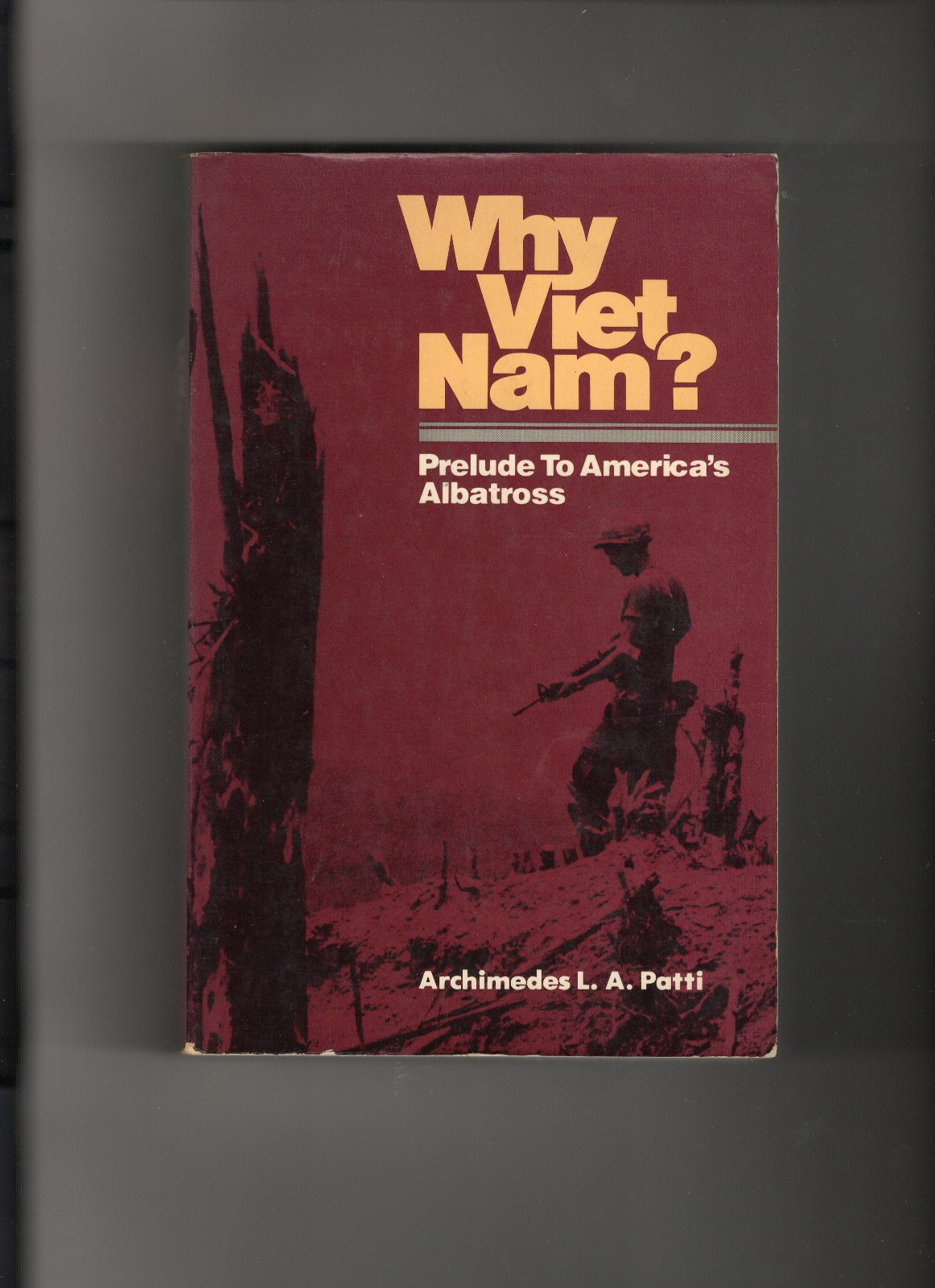 Why Viet Nam? Prelude to America’s Albatross by Archimedes L. A. Patti