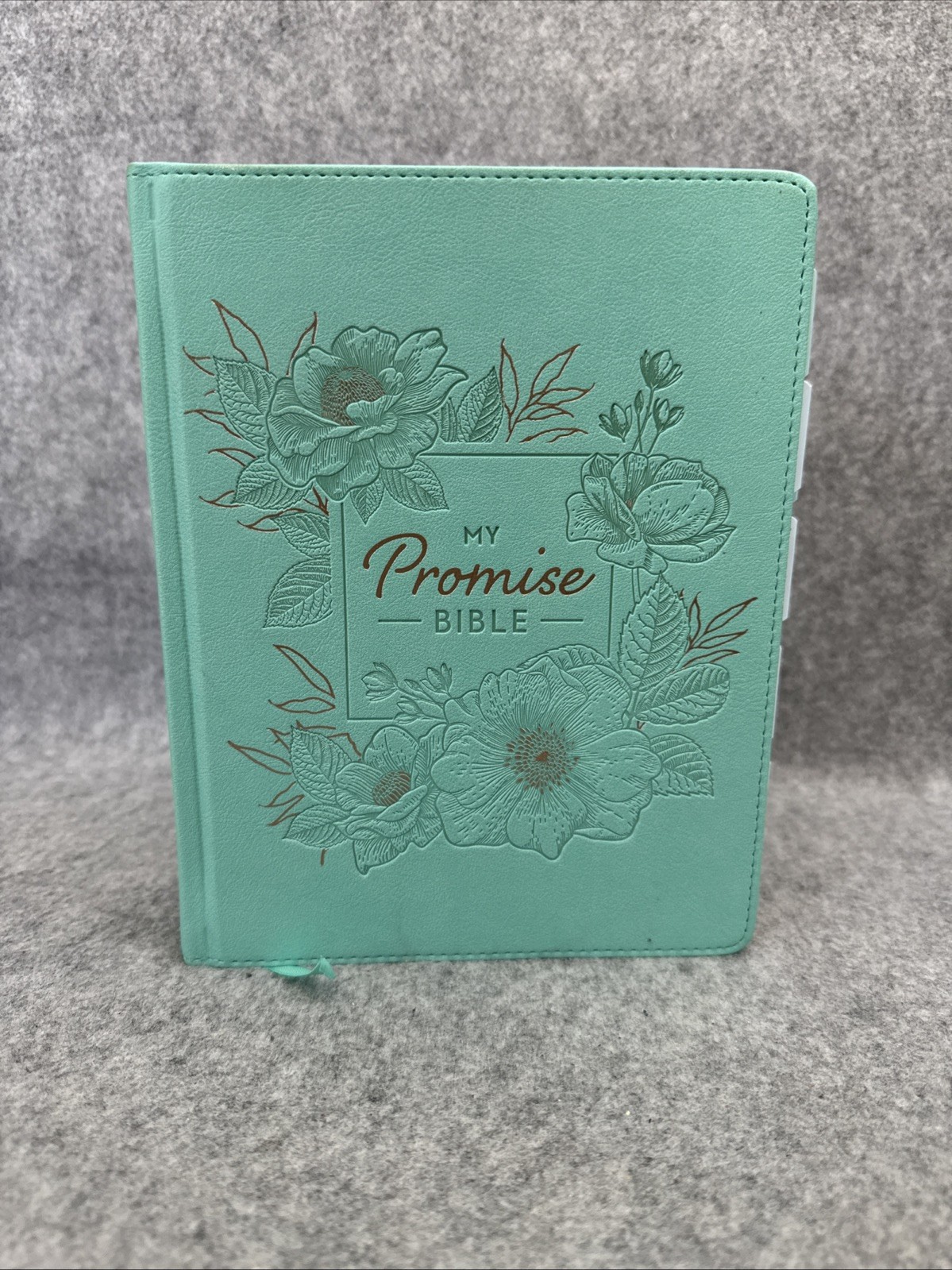 KJV Holy Bible, My Promise Bible, Faux Leather Hardcover w/Bible Tabs, Color…