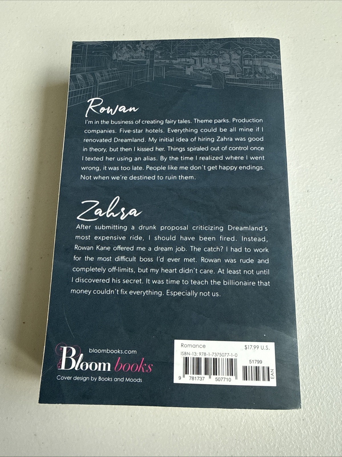The Fine Print Special Edition (Dreamland Billionaires, 1)