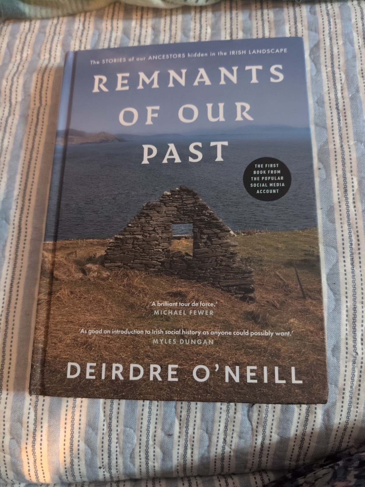Remnants of Our Past : The STORIES of Our ANCESTORS Hidden in the IRISH…