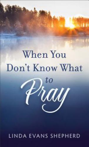 When You Don’t Know What to Pray by Linda Evans Shepherd (2015 PB) DD 9908