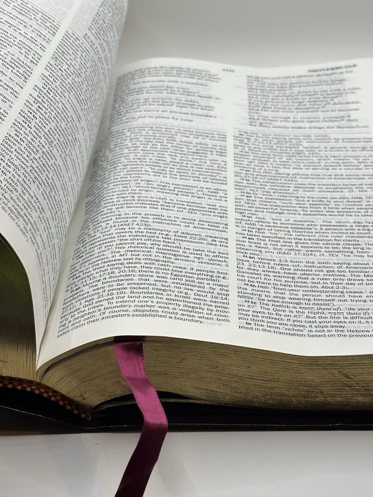 The NET Bible First Edition Premium Bonded Leather