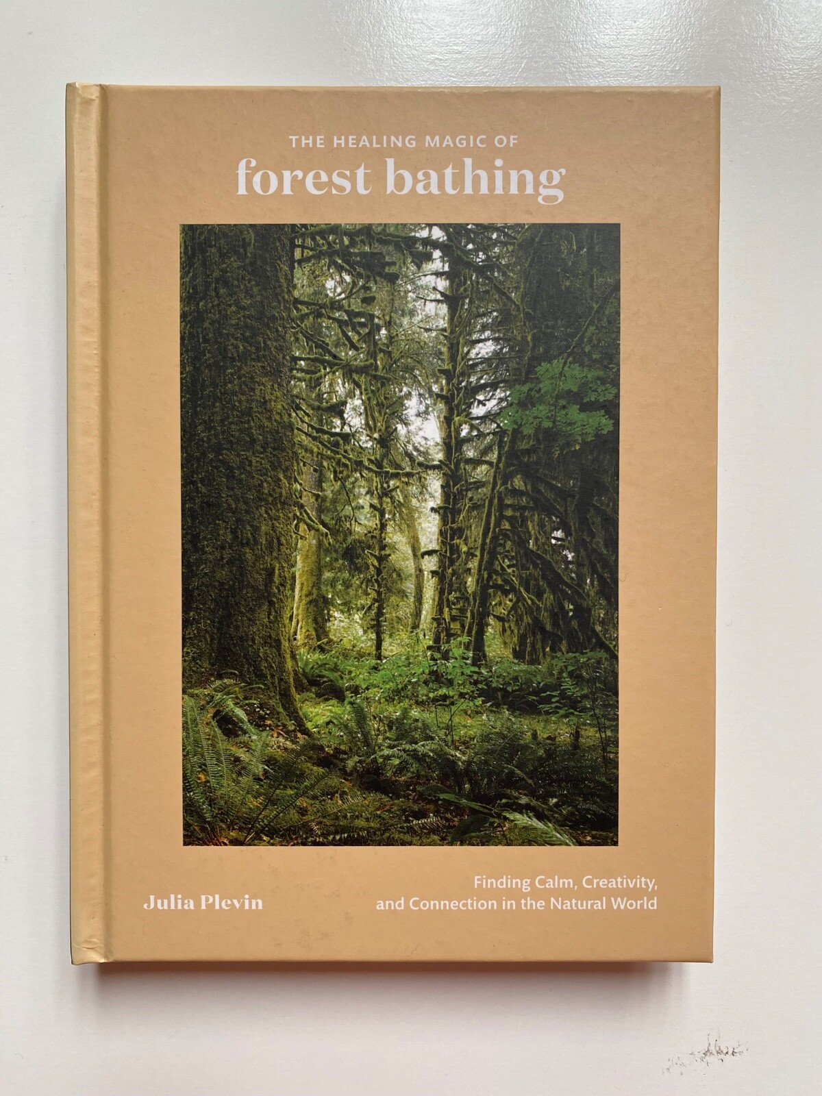 The Healing Magic of Forest Bathing: Finding Calm, Creativity, and Connection