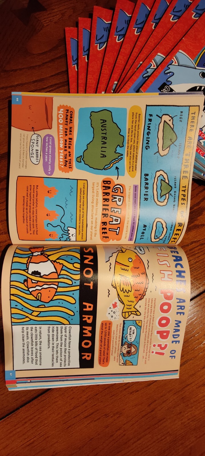 Everything about Sharks and Other Underwater Creatures by Mike Lowery BRAND NEW