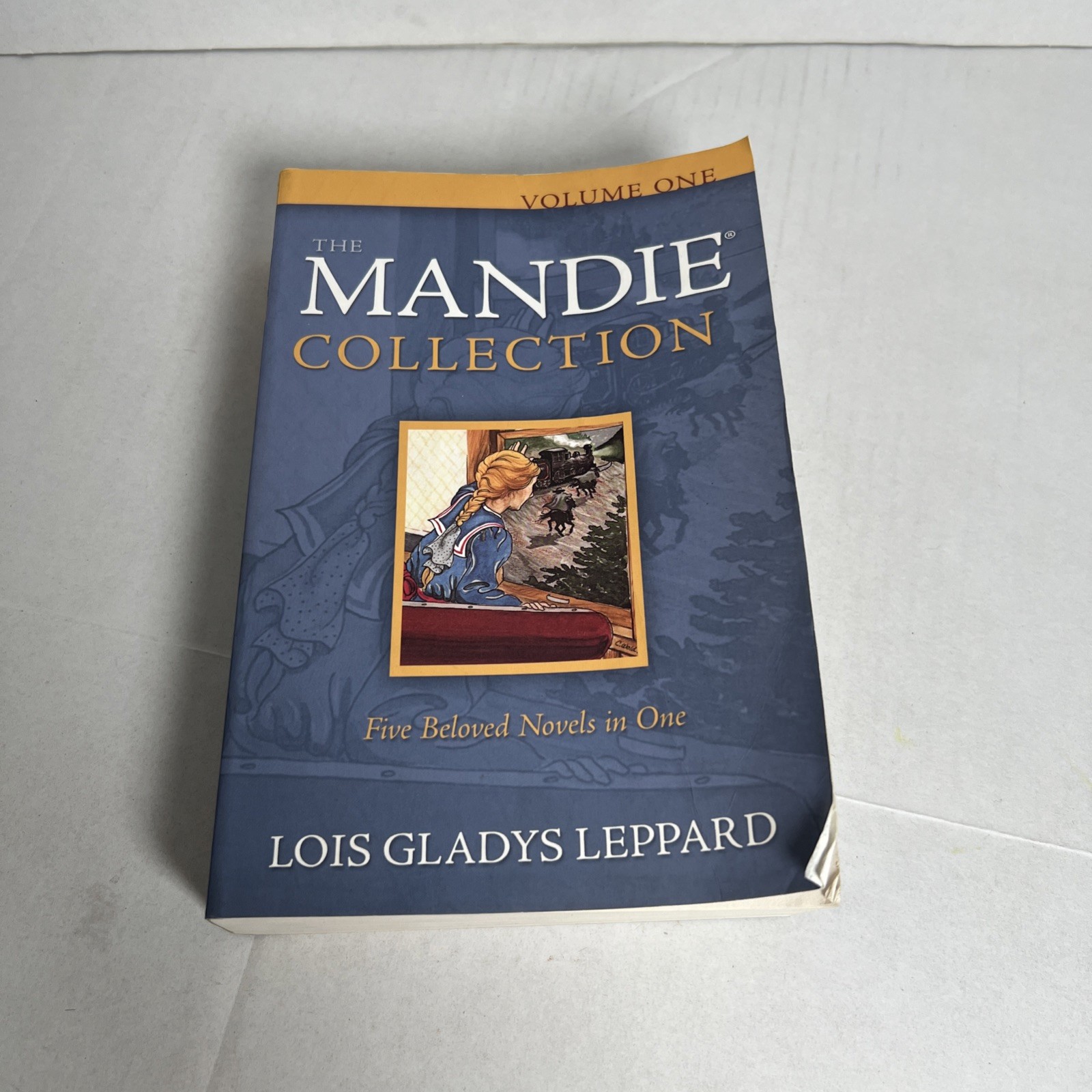 MANDIE COLLECTION COMPLETE BOOK SERIES 1-40 – Lois Gladys Leppard