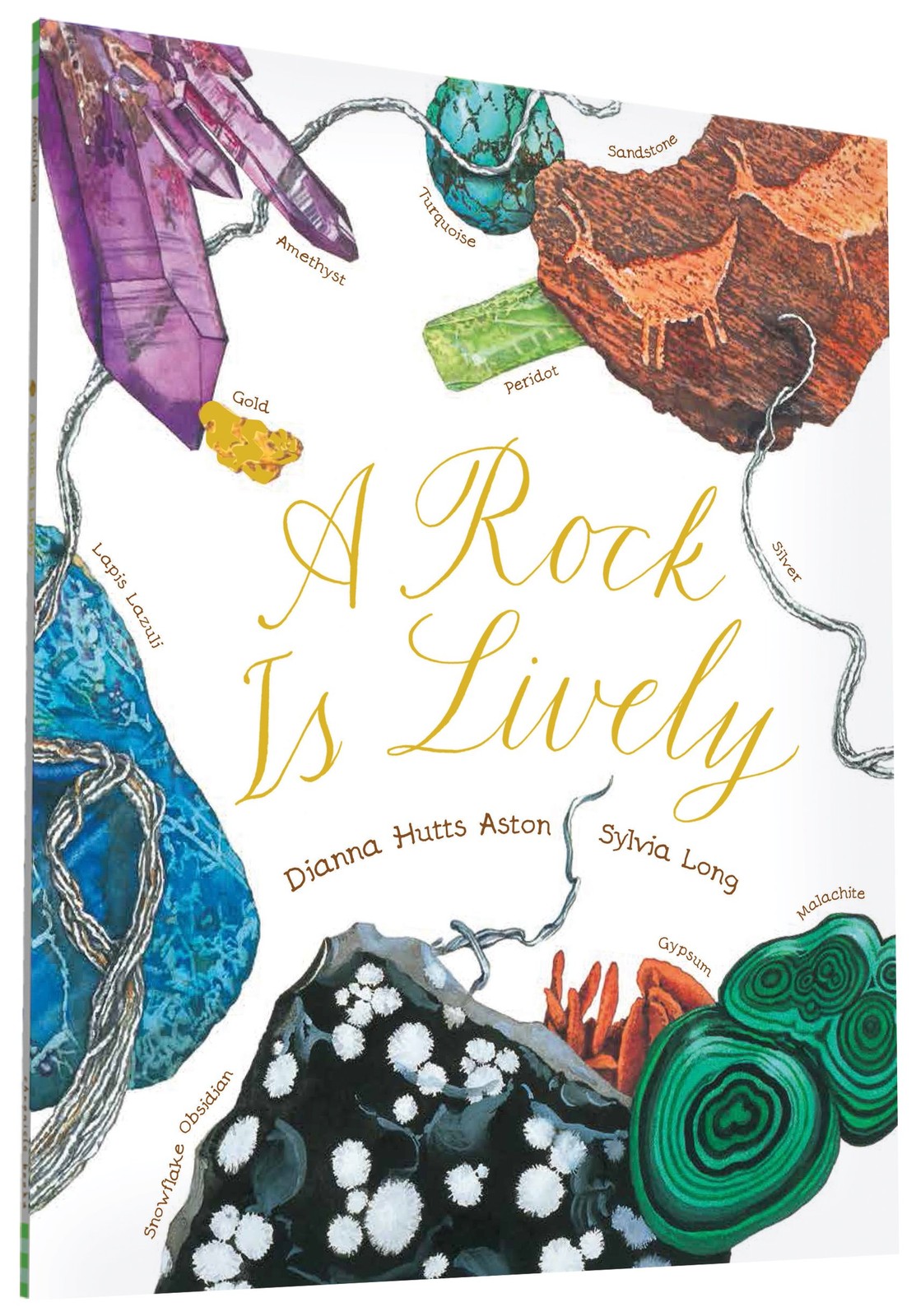 A Rock Is Lively (Sylvia Long) – paperback Aston, Dianna Hutts|Long, Sylvia