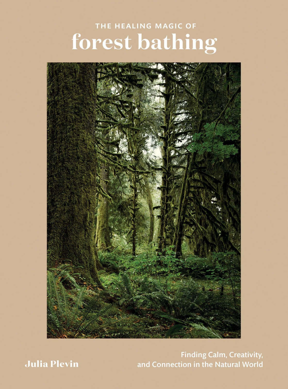 The Healing Magic of Forest Bathing: Finding Calm, Creativity, and Connectio…