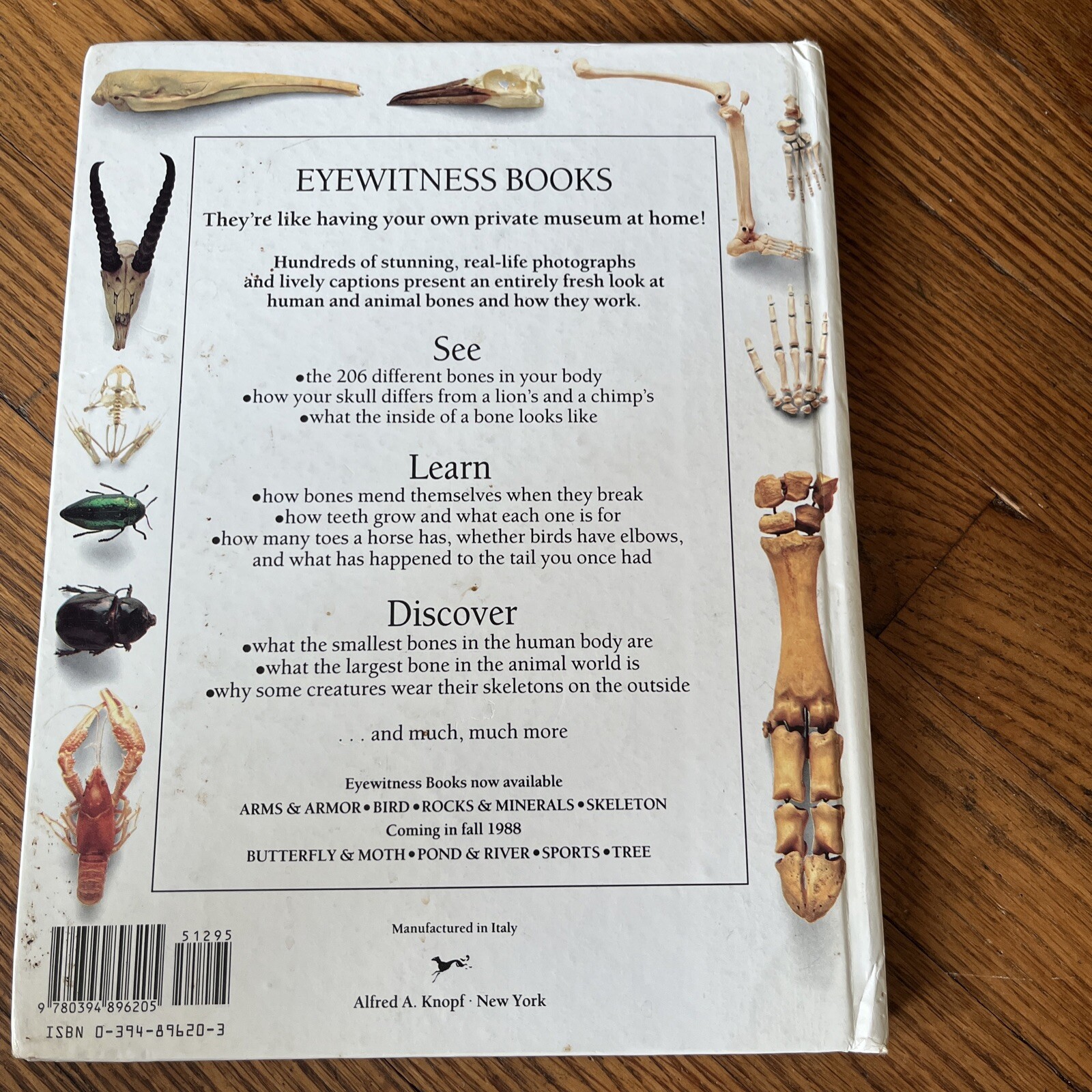 Eyewitness Bks.: Skeleton – Eyewitness by Steve Parker (1988, Hardcover)