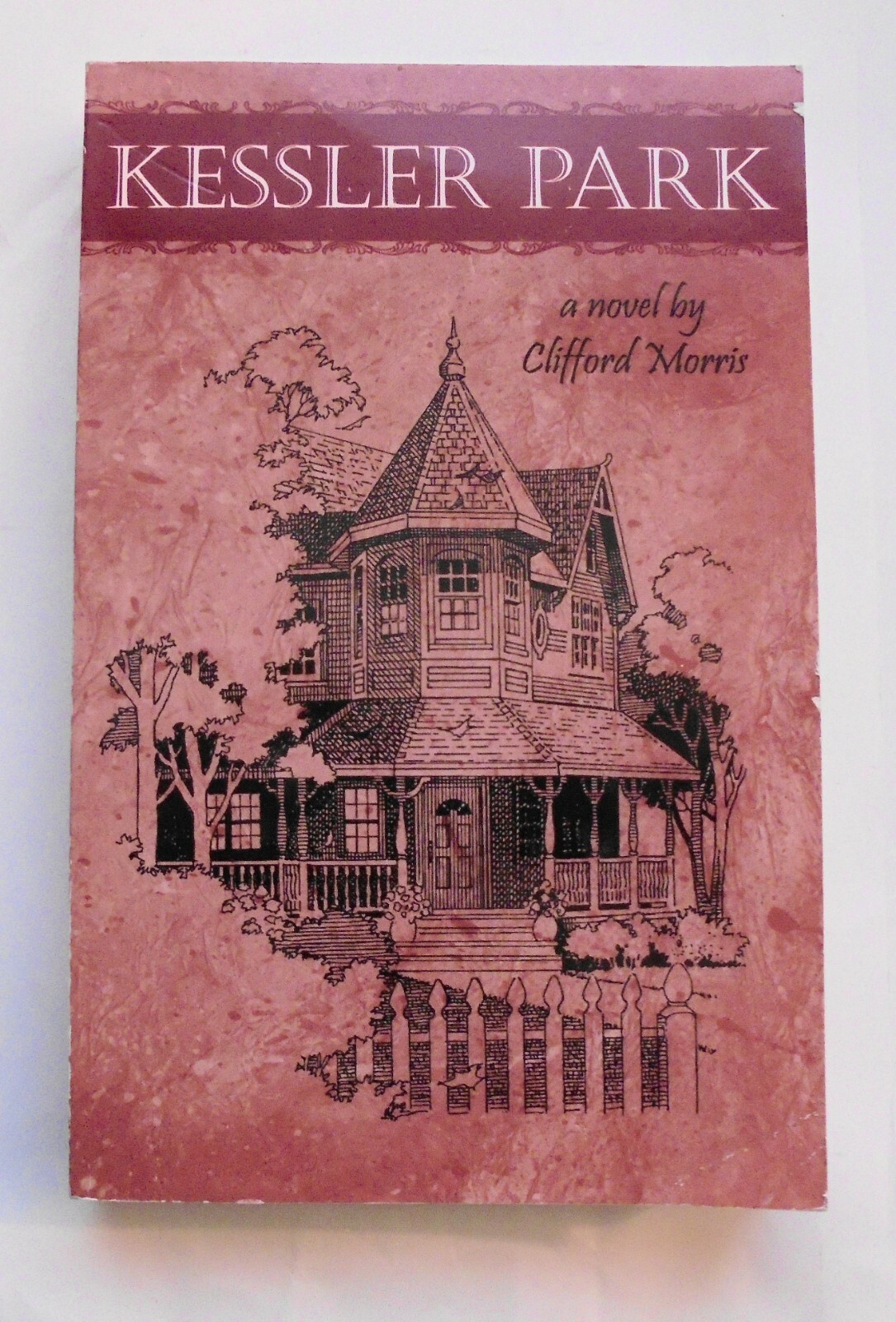 Kessler Park by Clifford Morris (2010, Trade Paperback)
