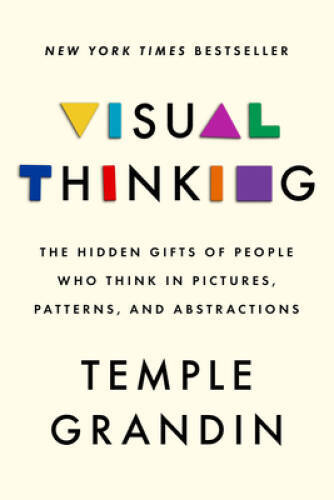 Visual Thinking: The Hidden Gifts of People Who Think in Pictures, Patter – GOOD