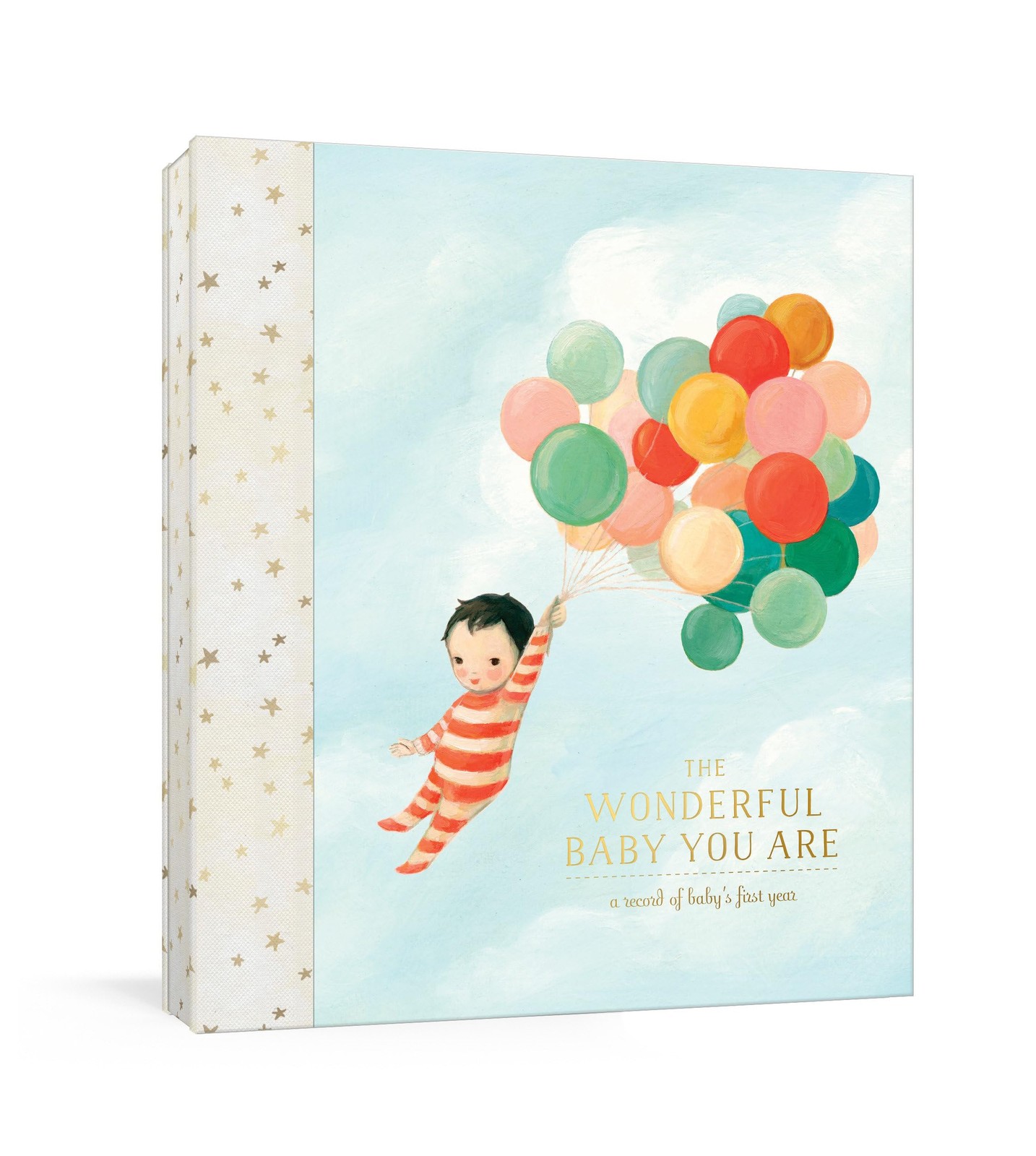 The Wonderful Baby You Are: A Record of Baby’s First Year: Baby Memory Book …