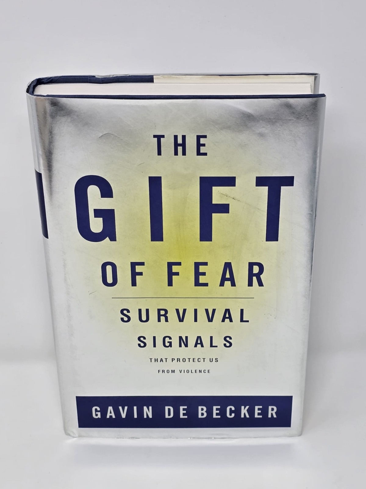 Gift of Fear Survival Signals That Protect Us from Violence by Gavin de Becker