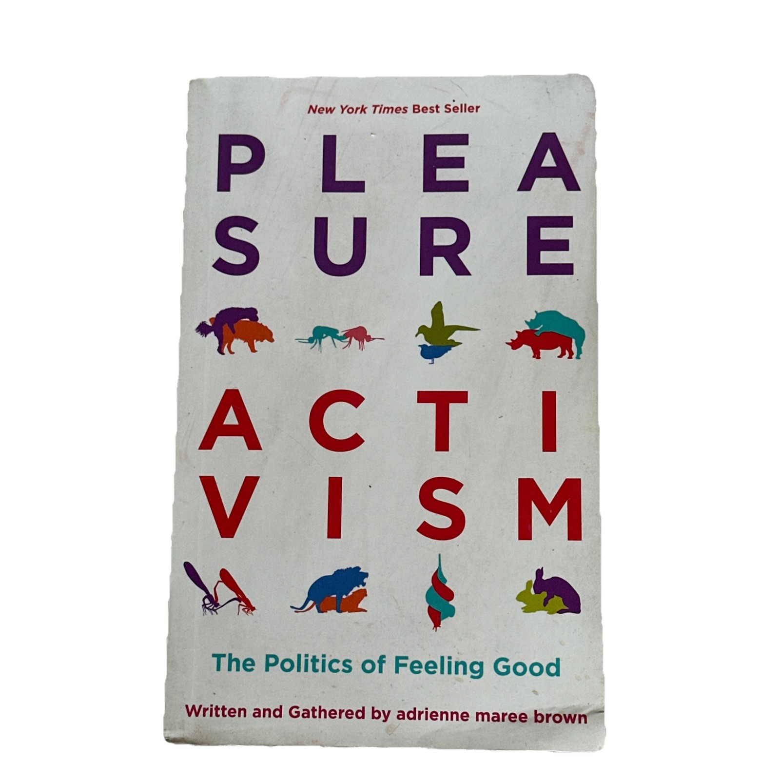 Pleasure Activism: The Politics of Feeling Good 2019 PB by adrienne maree brown