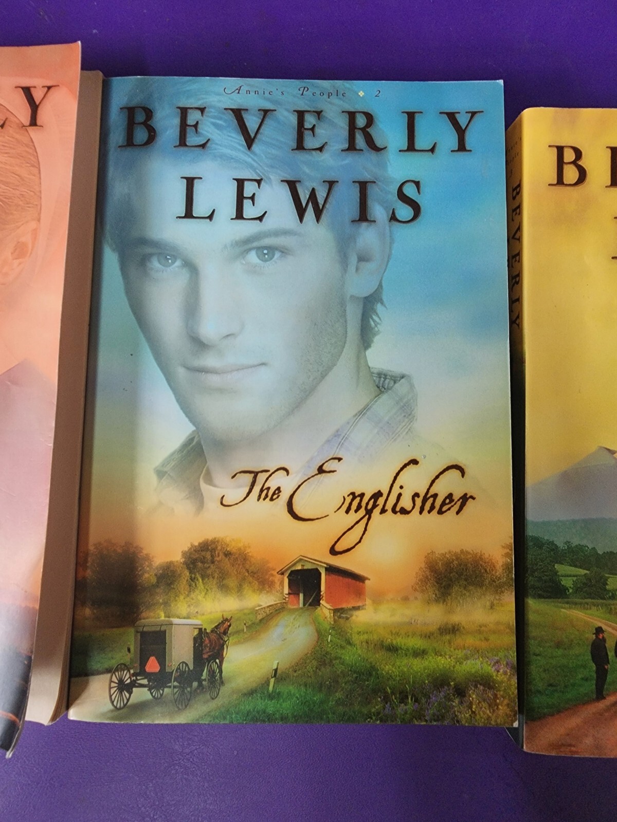 Annie’s People Complete Series Book Amish Romance Paperback by Beverly Lewis