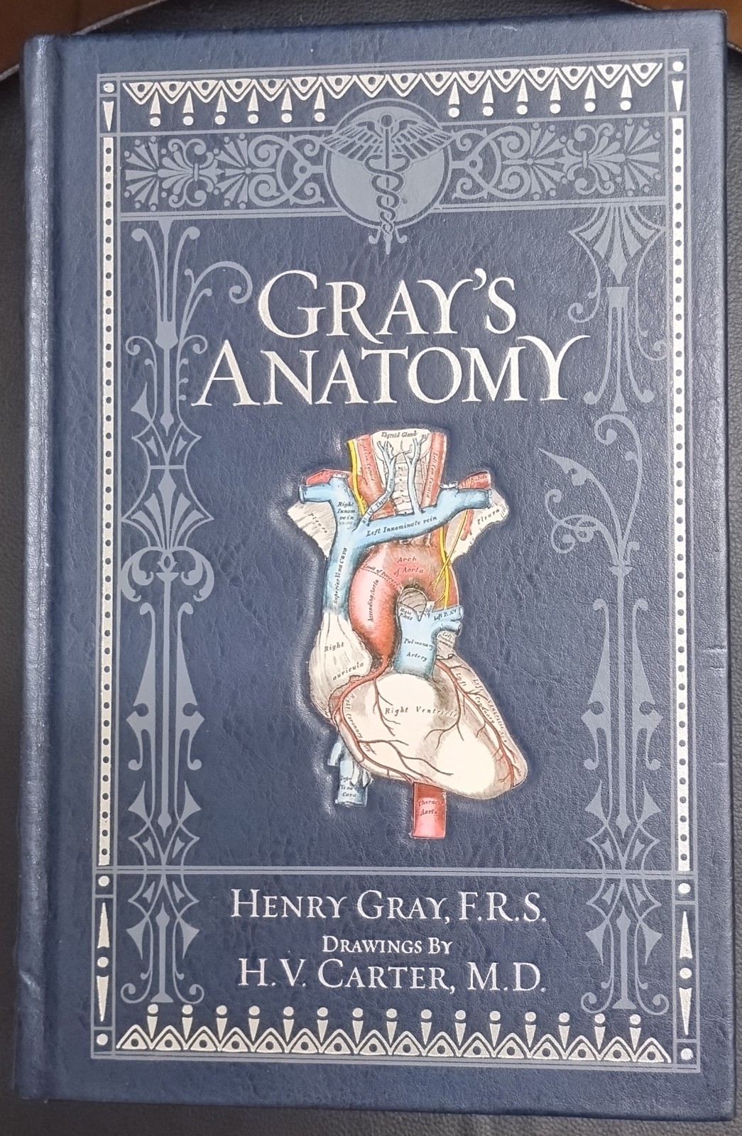 Gray’s Anatomy Henry Gray Illustrated Bonded Leather Deluxe Collectible B & N