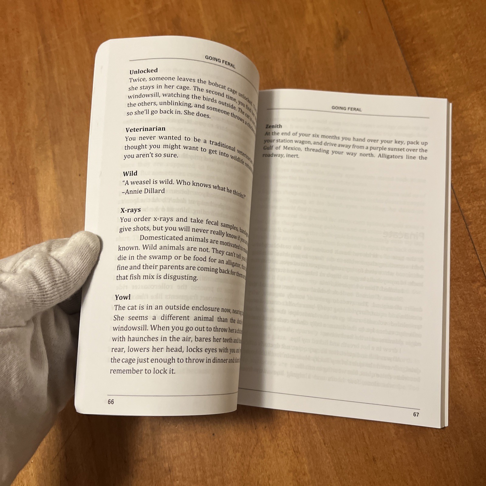 Going Feral : Field Notes on Wonder and Wanderlust by Heather Durham (2019,…